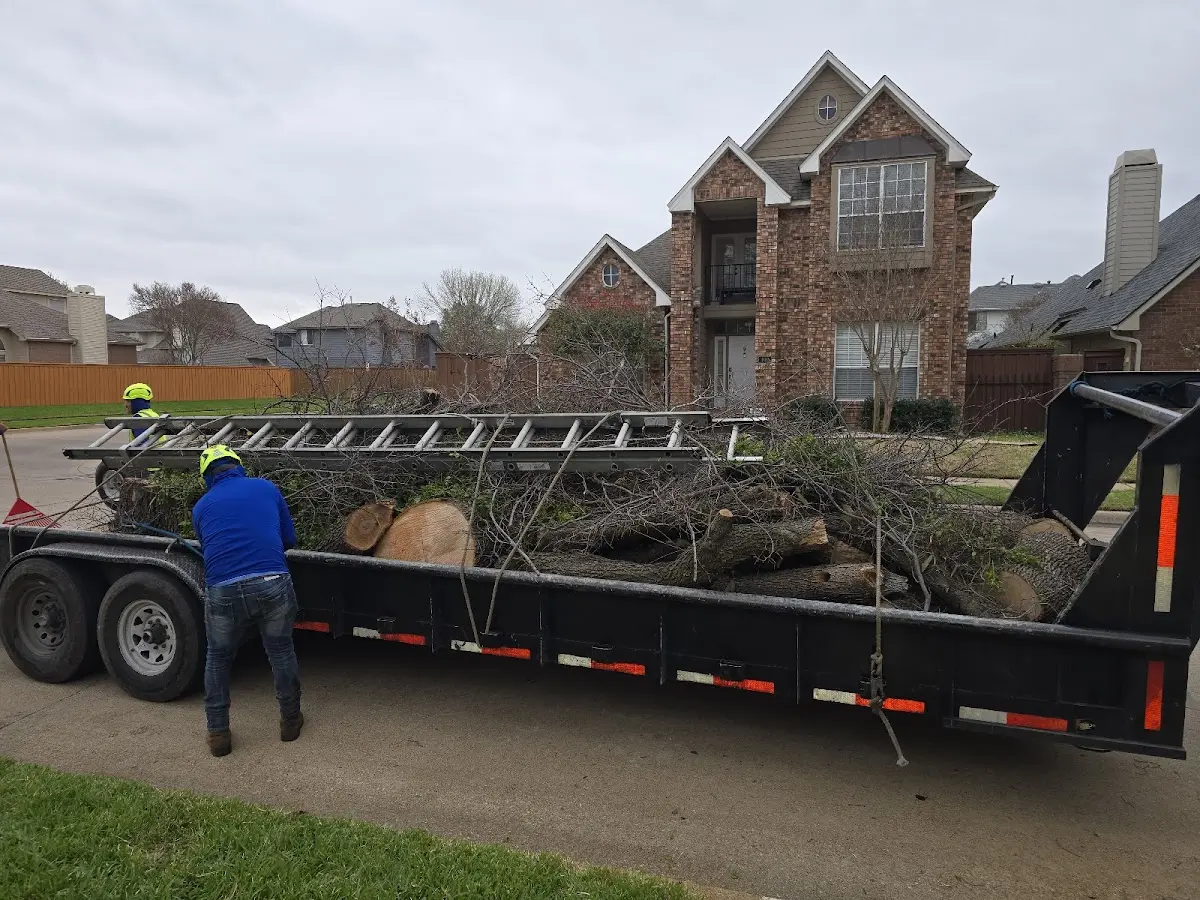 Expert Tree Fertilization with proper safety equipment in Fonda